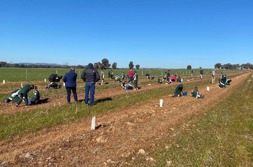 Tree Planting Day